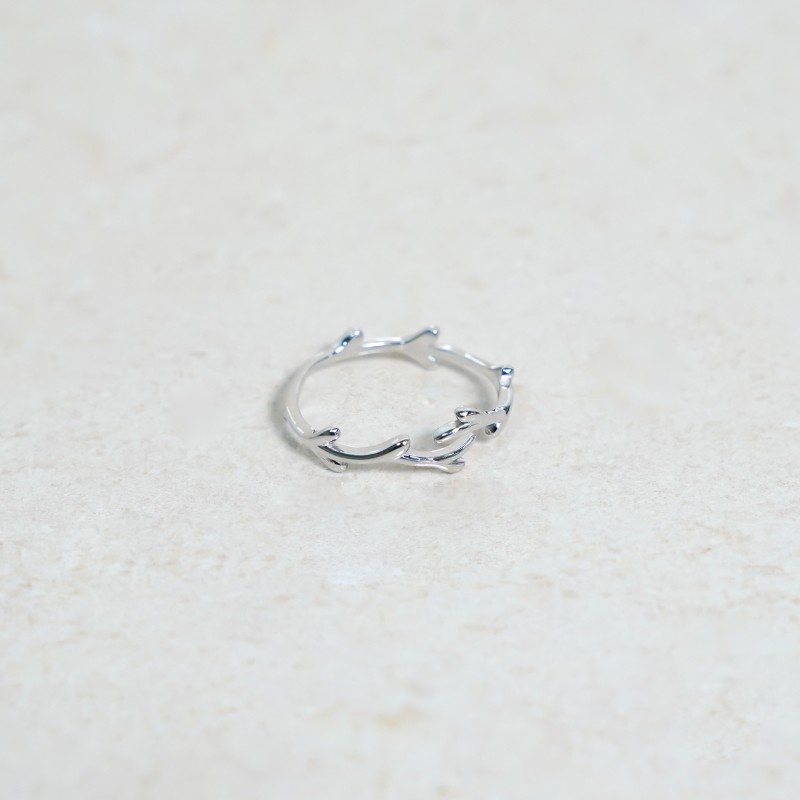 The Branch Ring